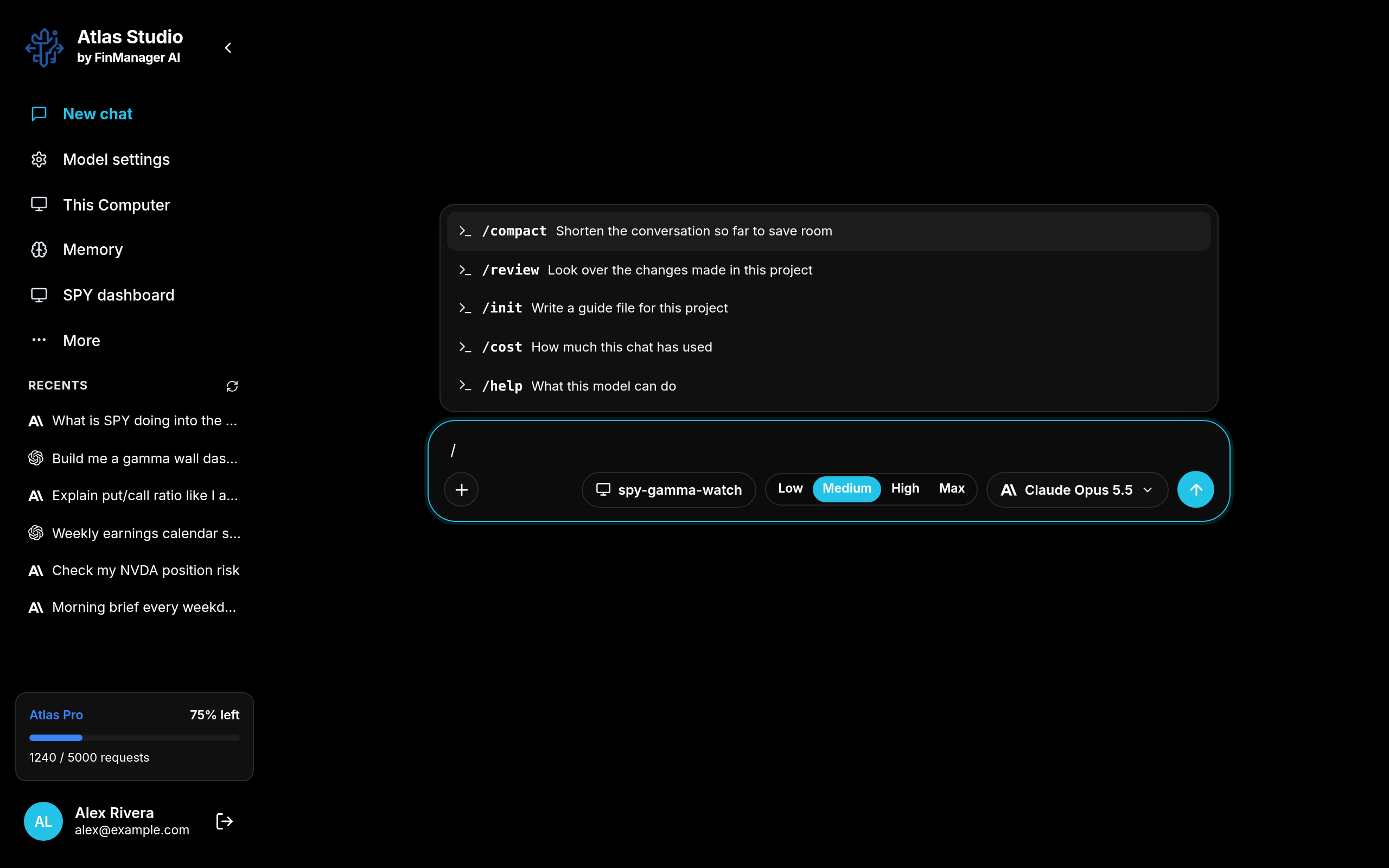 Typing / shows the model's commands