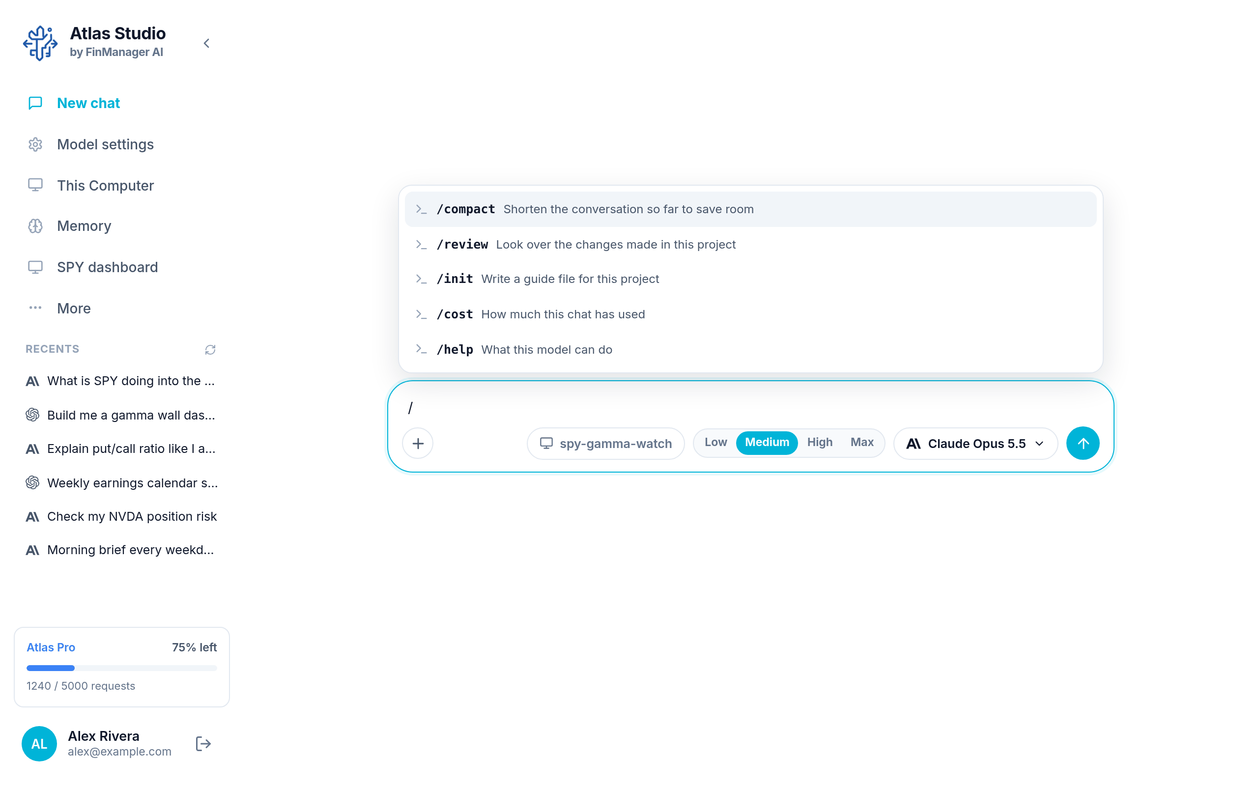 Typing / shows the model's commands